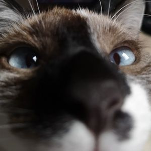 Meet your Posher, Janese